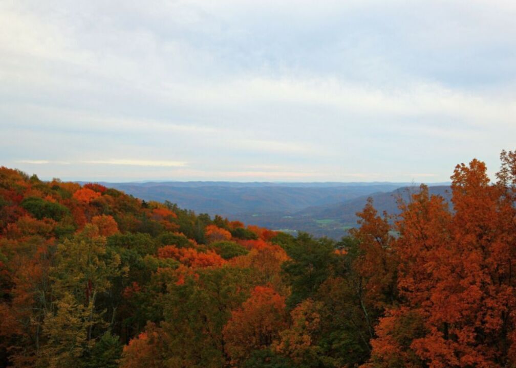 #50. West Virginia